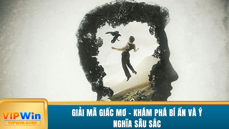 giai-ma-giac-mo-kham-pha-bi-an-va-y-nghia-sau-sac