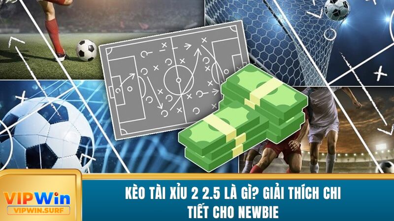 keo-tai-xiu-2-2-5-la-gi